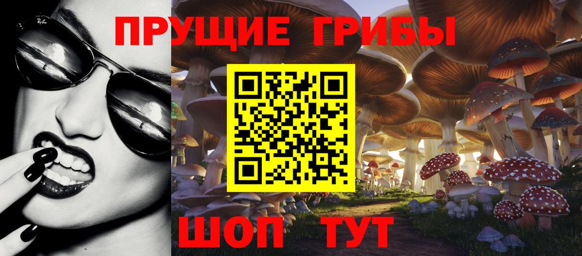 Псилоцибиновые грибы MAGIC MUSHROOMS Тверь