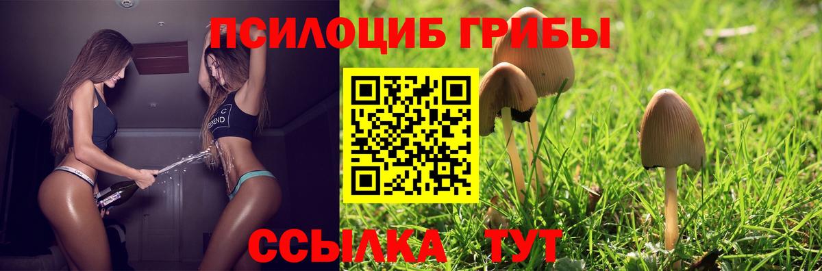 Псилоцибиновые грибы мухоморы  Вход с VPN  купить  цена  Тверь 